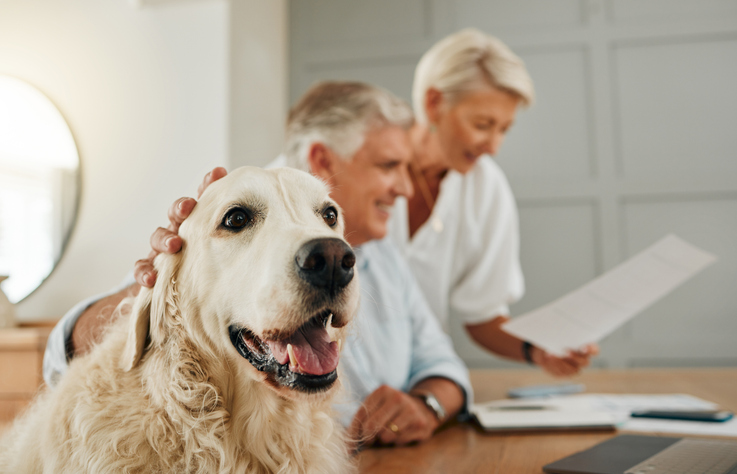 elderly couple and dog pet